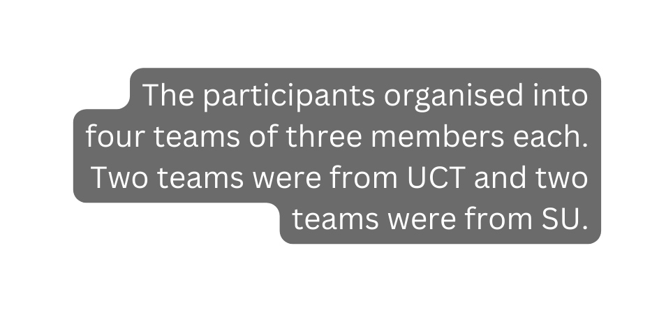 The participants organised into four teams of three members each Two teams were from UCT and two teams were from SU